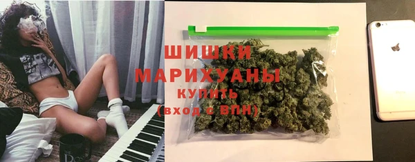 гашик Белокуриха