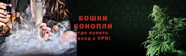 гашик Белокуриха