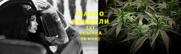 мдпв Пестово