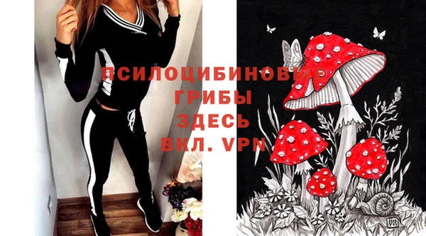 ПСИЛОЦИБИНОВЫЕ ГРИБЫ Беломорск