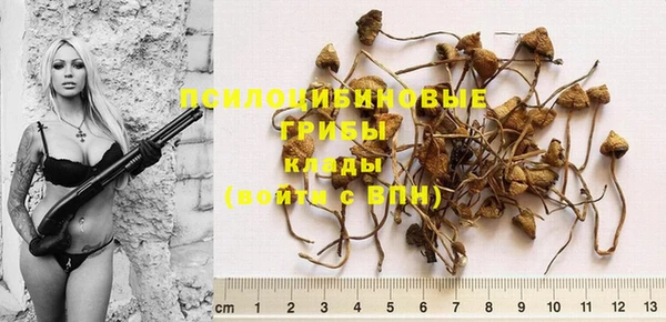 винт Белоозёрский