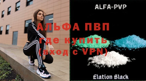 гашик Белокуриха