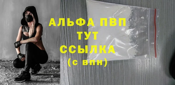 гашик Белокуриха